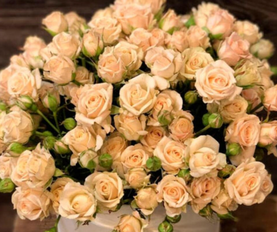 Flowers in a Box (Mono bouquet)